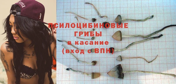 кокс Гусев