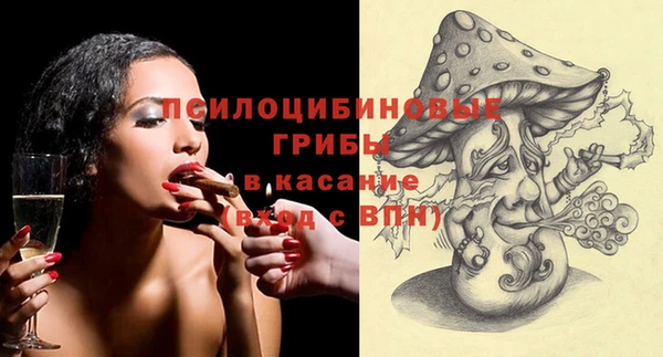 кокс Гусев